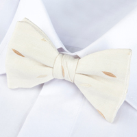 Noeud papillon blanc