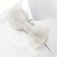 Noeud papillon blanc