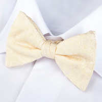 Achat noeuds papillon - noeud papillon à nouer et déja-noué