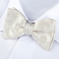 Noeud papillon blanc